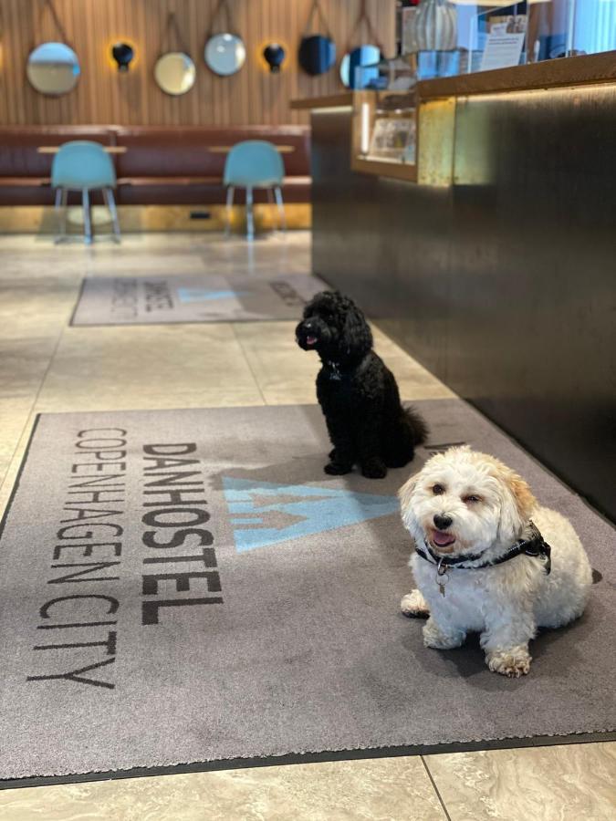 Danhostel Copenhagen City & Apartments Экстерьер фото Dogs at the reception